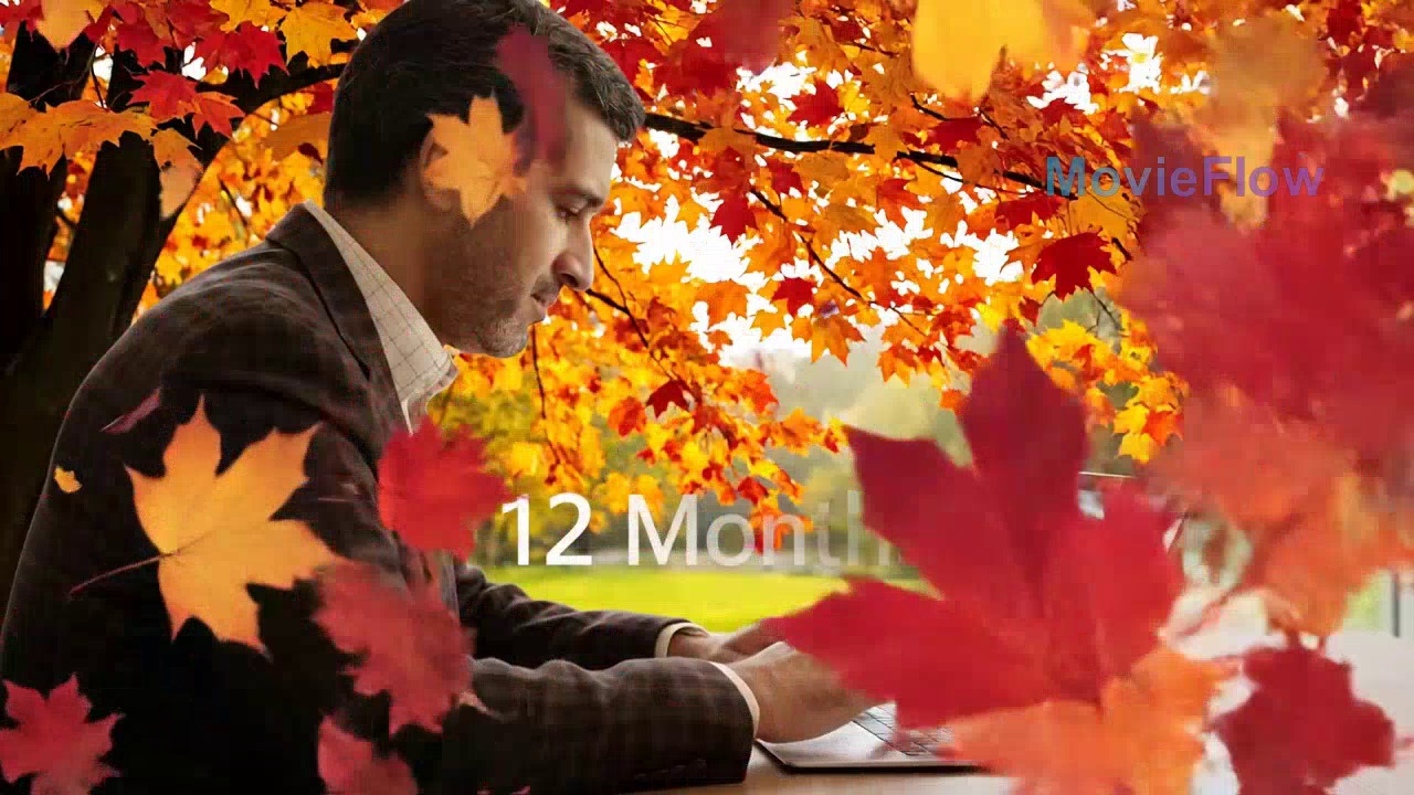 bg opacity:0.8