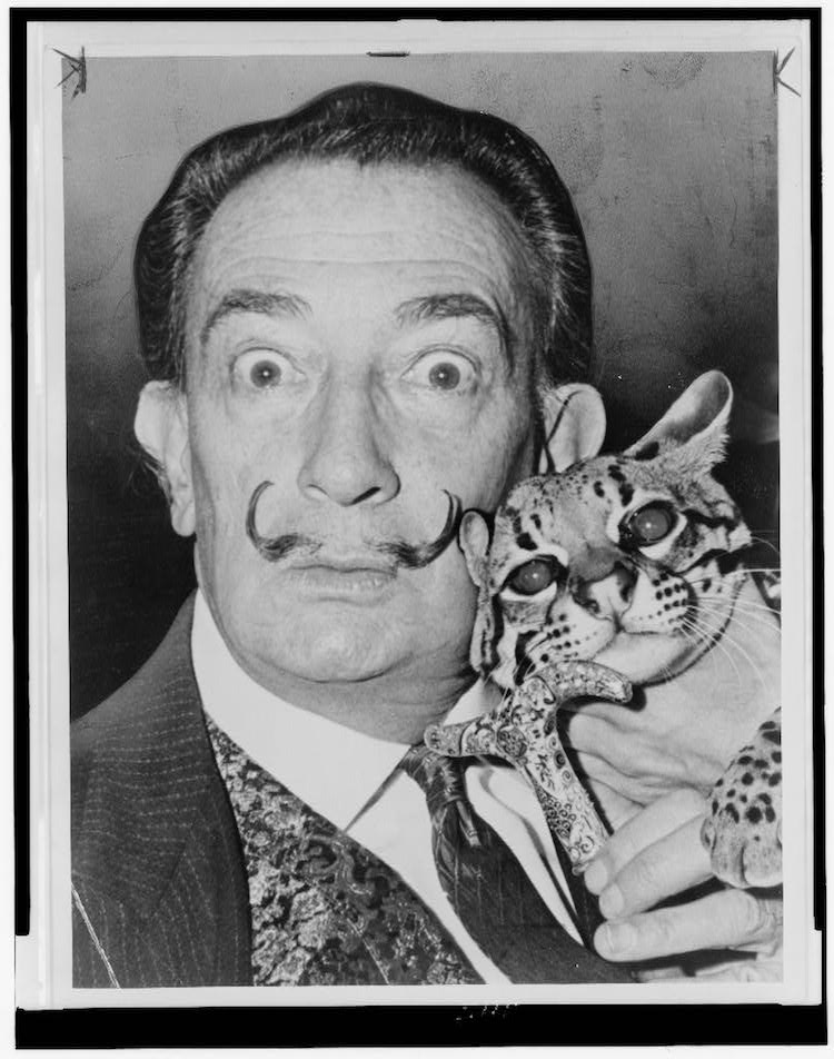 salvador-dali